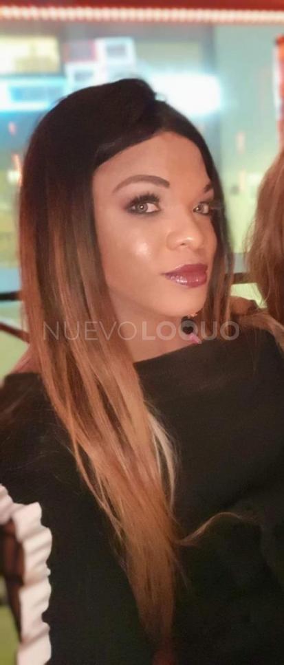 NuevoLoquo1