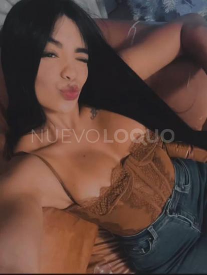 NuevoLoquo5