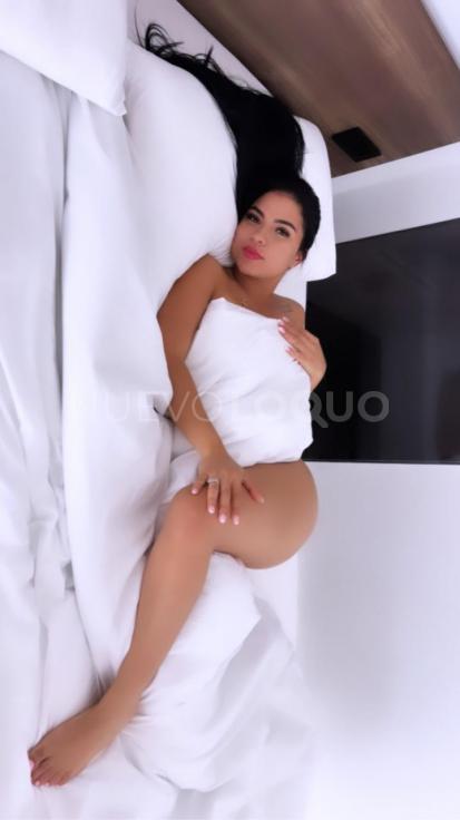 NuevoLoquo3