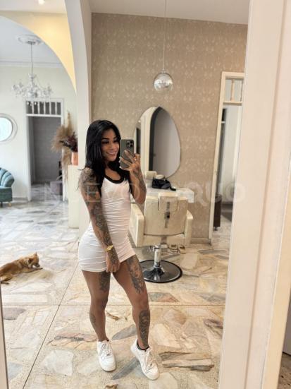 NuevoLoquo1