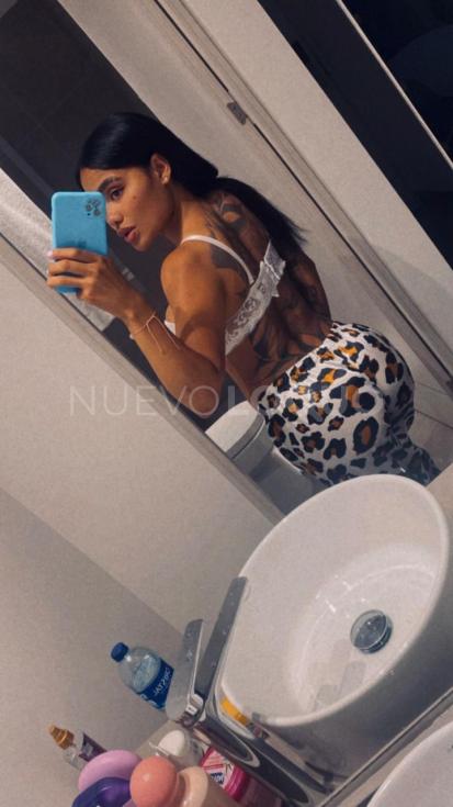 NuevoLoquo2