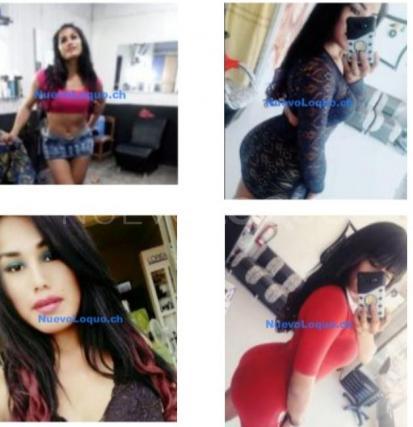 NuevoLoquo2