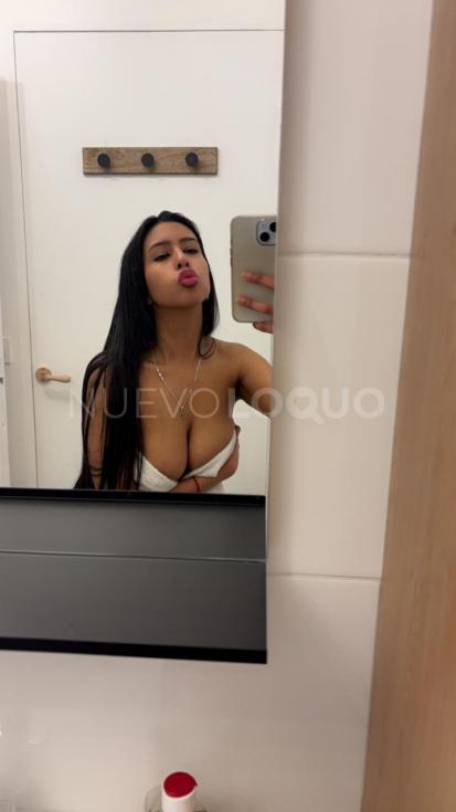 NuevoLoquo3