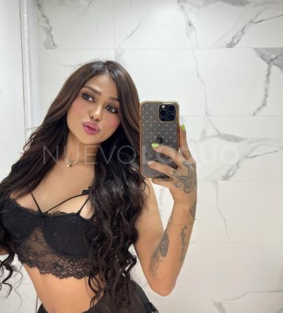 NuevoLoquo1
