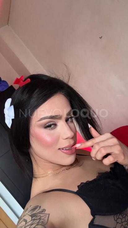 NuevoLoquo4