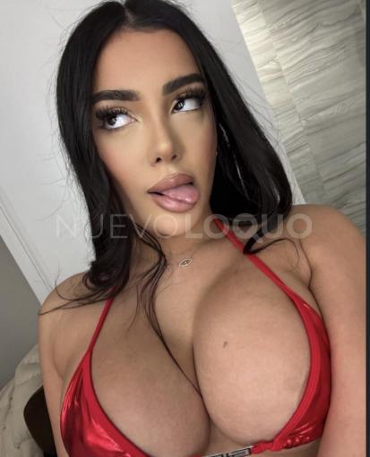 NuevoLoquo3