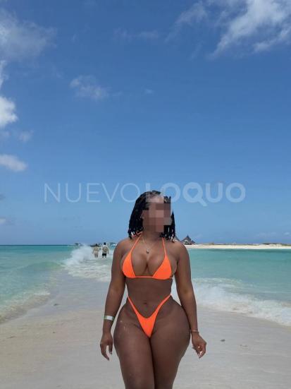 NuevoLoquo1