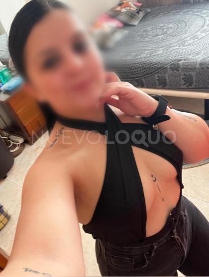 NuevoLoquo1