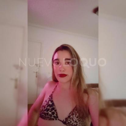 NuevoLoquo3