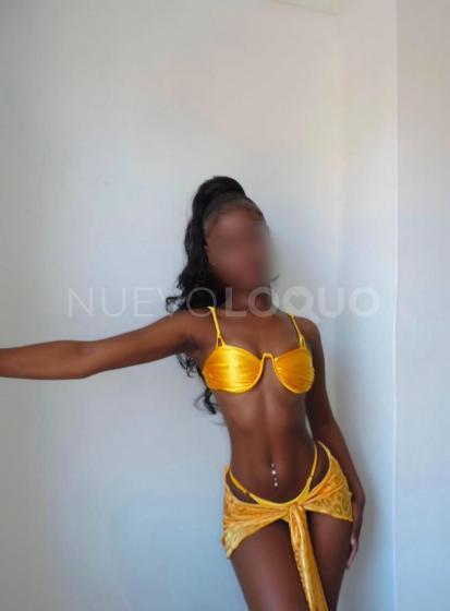 NuevoLoquo3