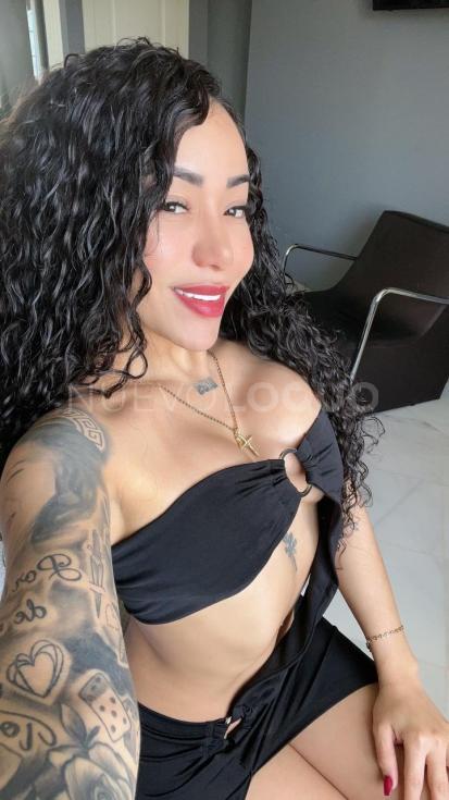 NuevoLoquo3