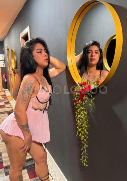 NuevoLoquo5