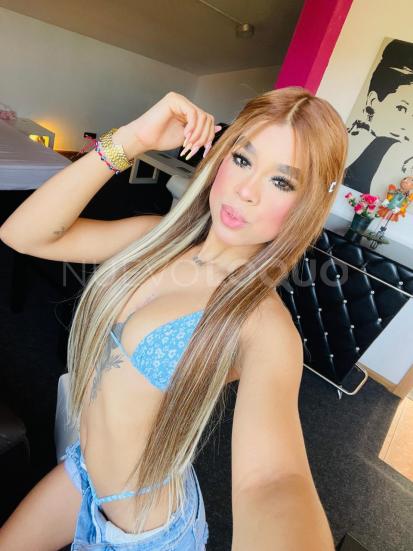 NuevoLoquo2