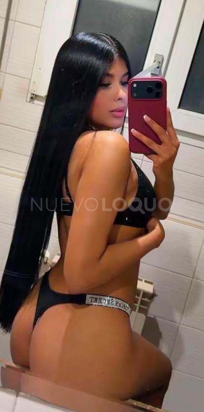 NuevoLoquo5