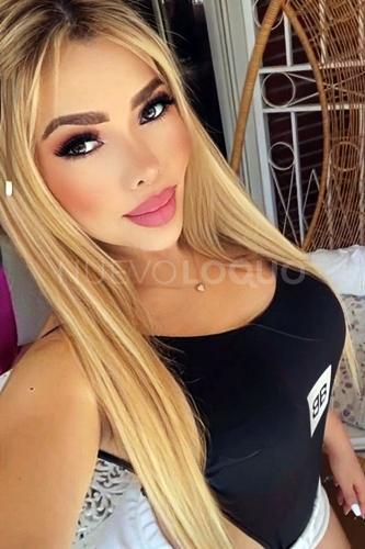 NuevoLoquo3