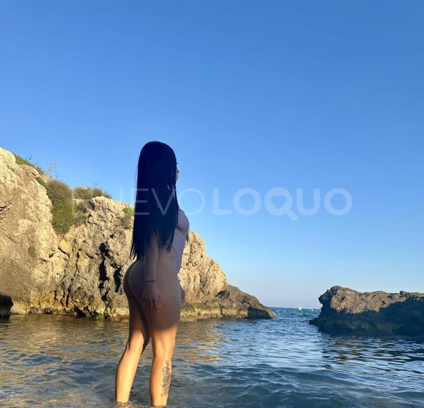 NuevoLoquo4
