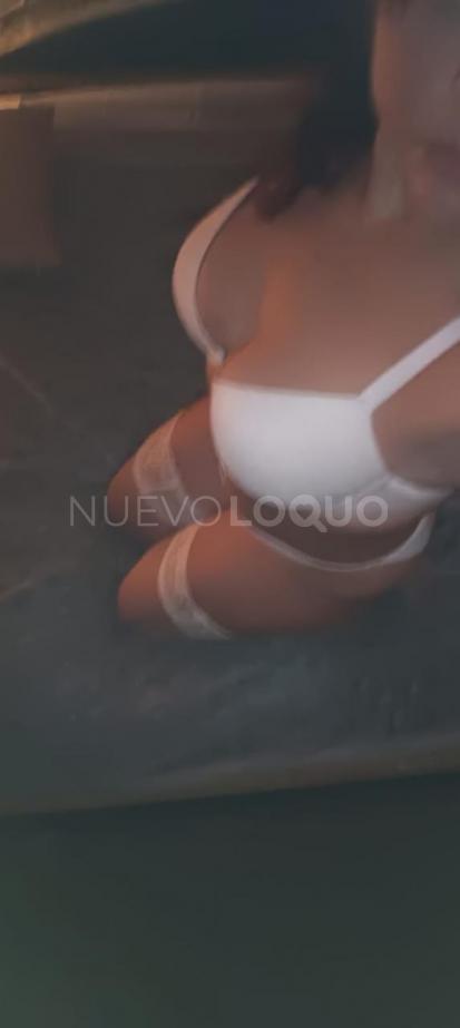 NuevoLoquo1