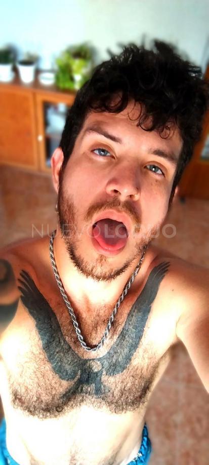 NuevoLoquo4