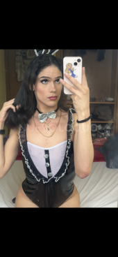 TRANS LATINA SIN LÍMITES.