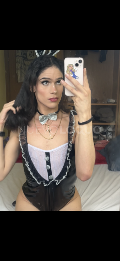  TRANS LATINA SIN LÍMITES.
