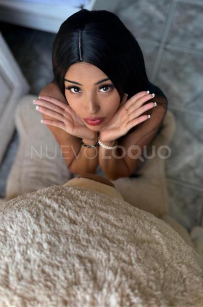 NuevoLoquo1