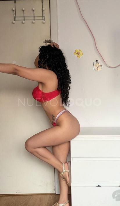 NuevoLoquo5
