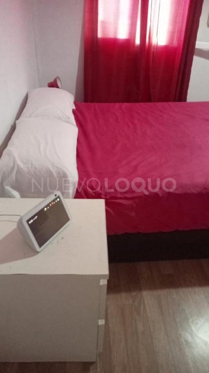 NuevoLoquo1