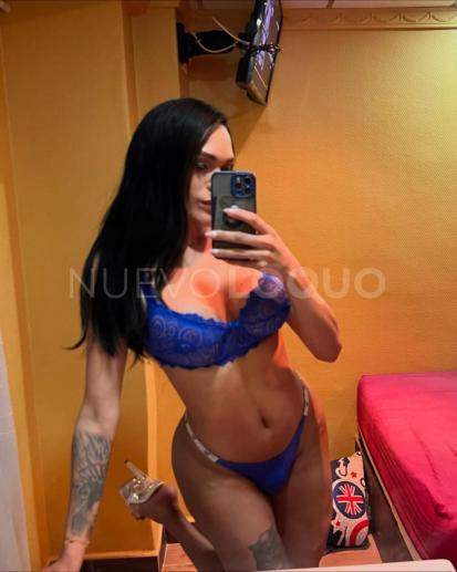 NuevoLoquo3