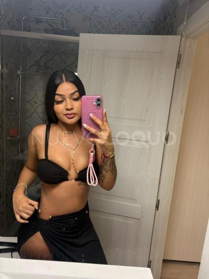 NuevoLoquo2