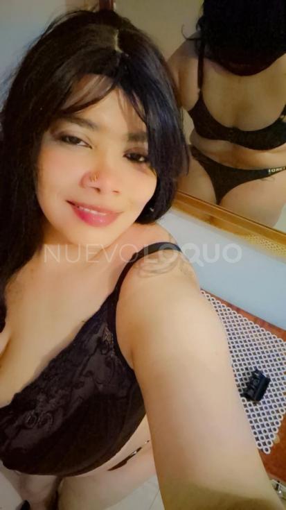 NuevoLoquo3