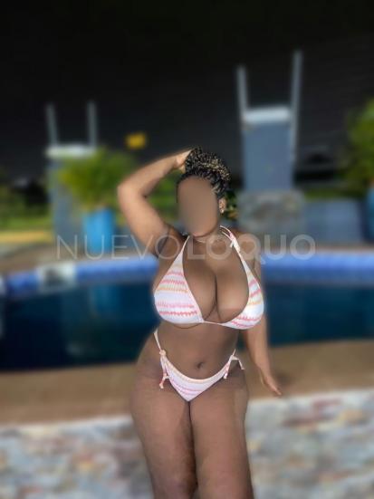 NuevoLoquo3