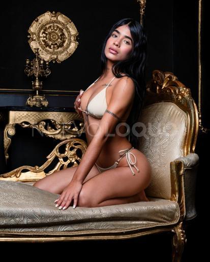 NuevoLoquo3