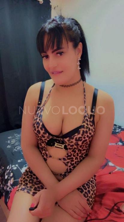 NuevoLoquo5