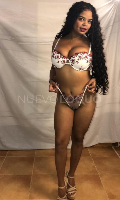 NuevoLoquo3