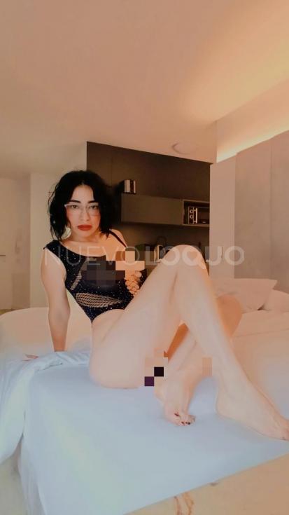 NuevoLoquo4