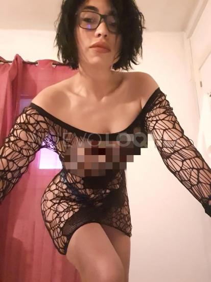 NuevoLoquo1