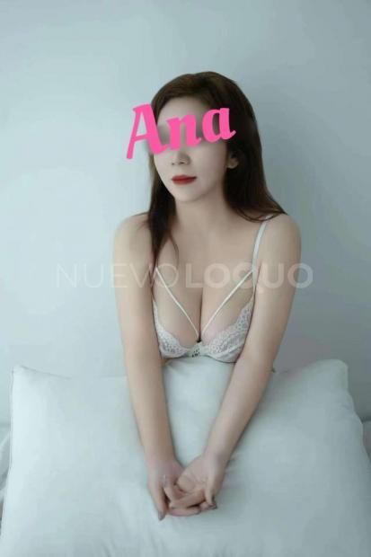 NuevoLoquo4