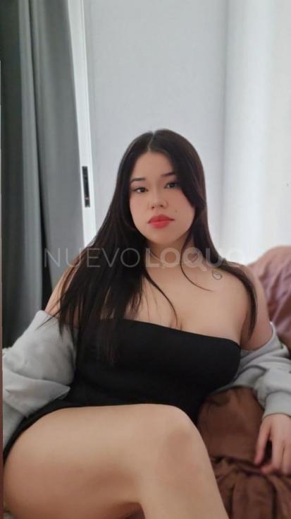 NuevoLoquo3