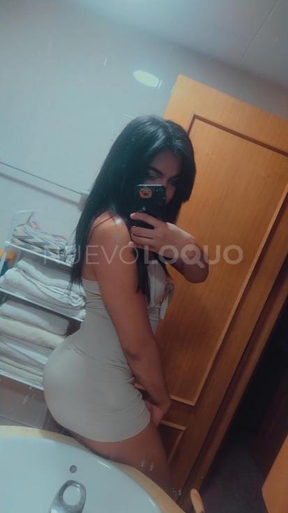 NuevoLoquo3