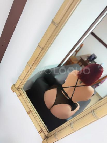 NuevoLoquo2