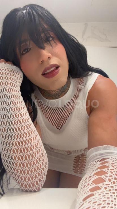 NuevoLoquo1