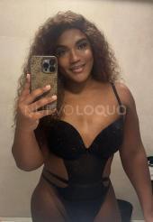 NOVEDAD TRANS 