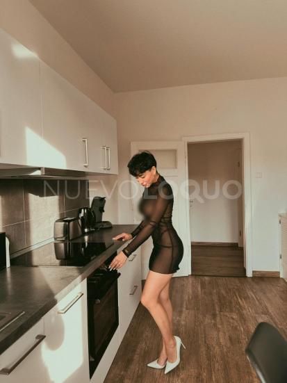 NuevoLoquo3