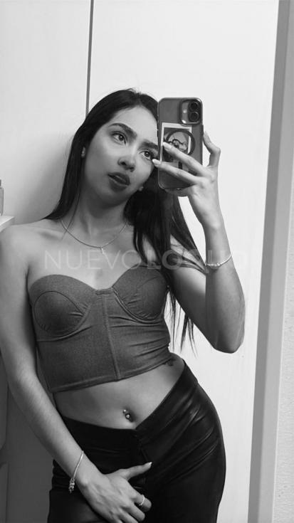 NuevoLoquo2