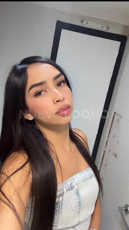 NuevoLoquo3