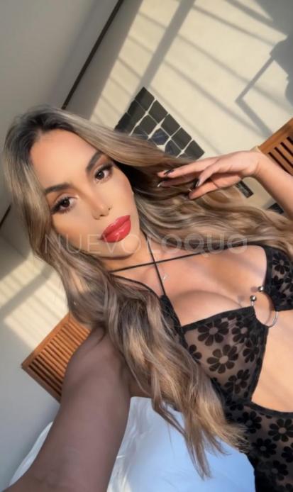 NuevoLoquo2
