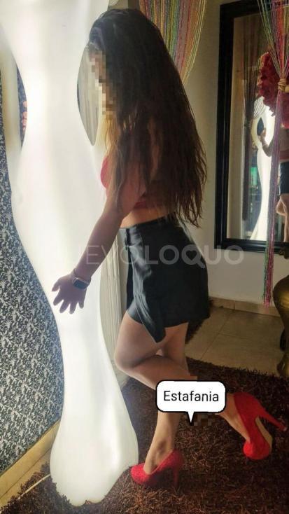 NuevoLoquo1