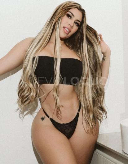 NuevoLoquo2