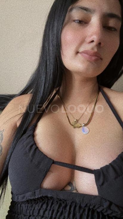 NuevoLoquo2