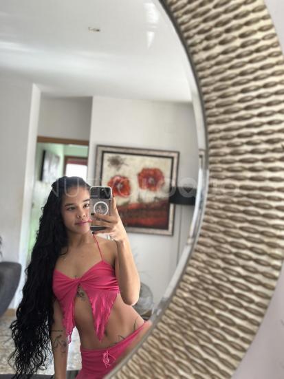 NuevoLoquo4